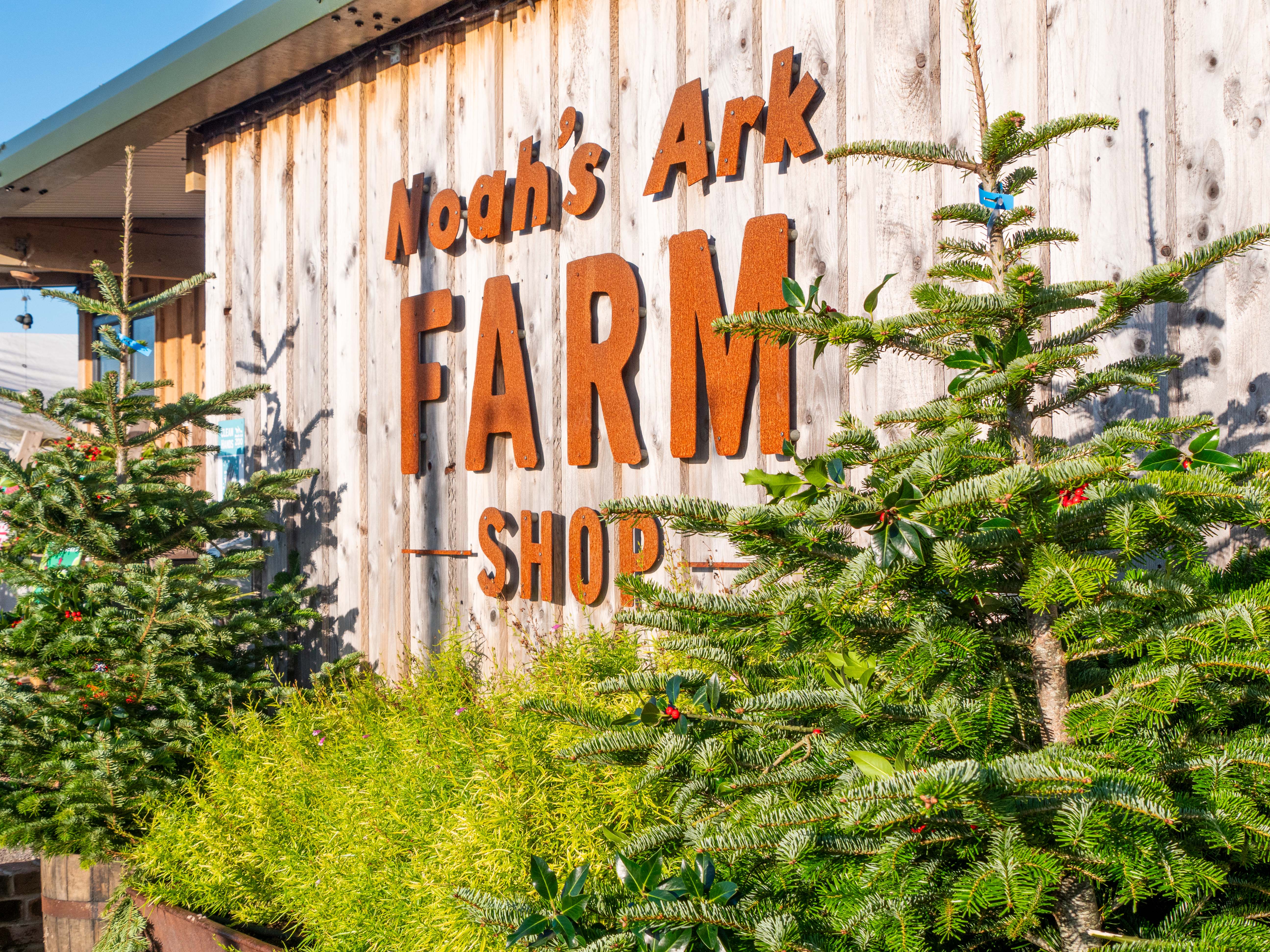 TheFarmShopChristmasTrees