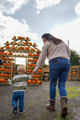 Pumpkinfest2025Shoot (75 Of 90)