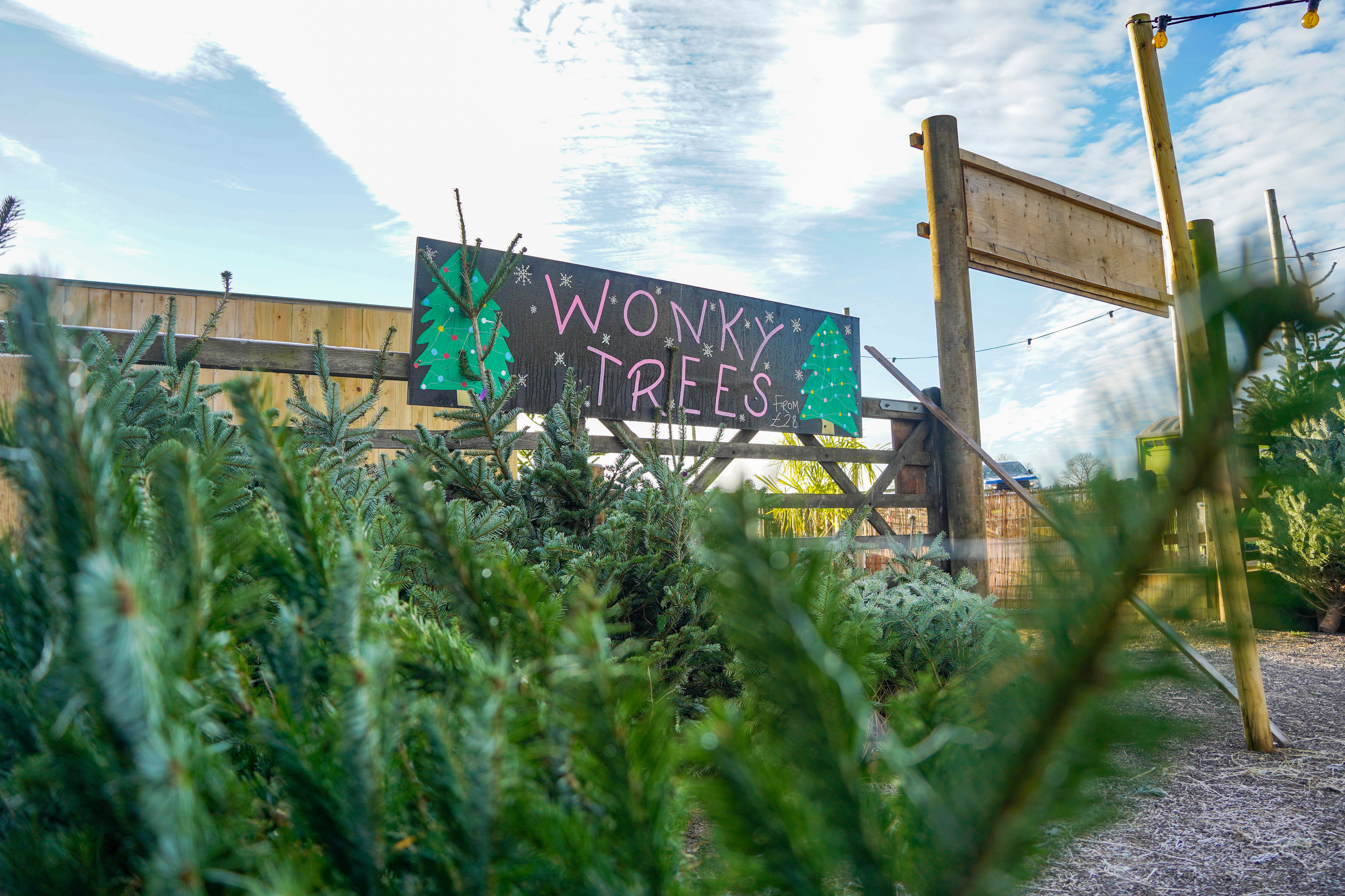 Christmasfarms (6 Of 9)