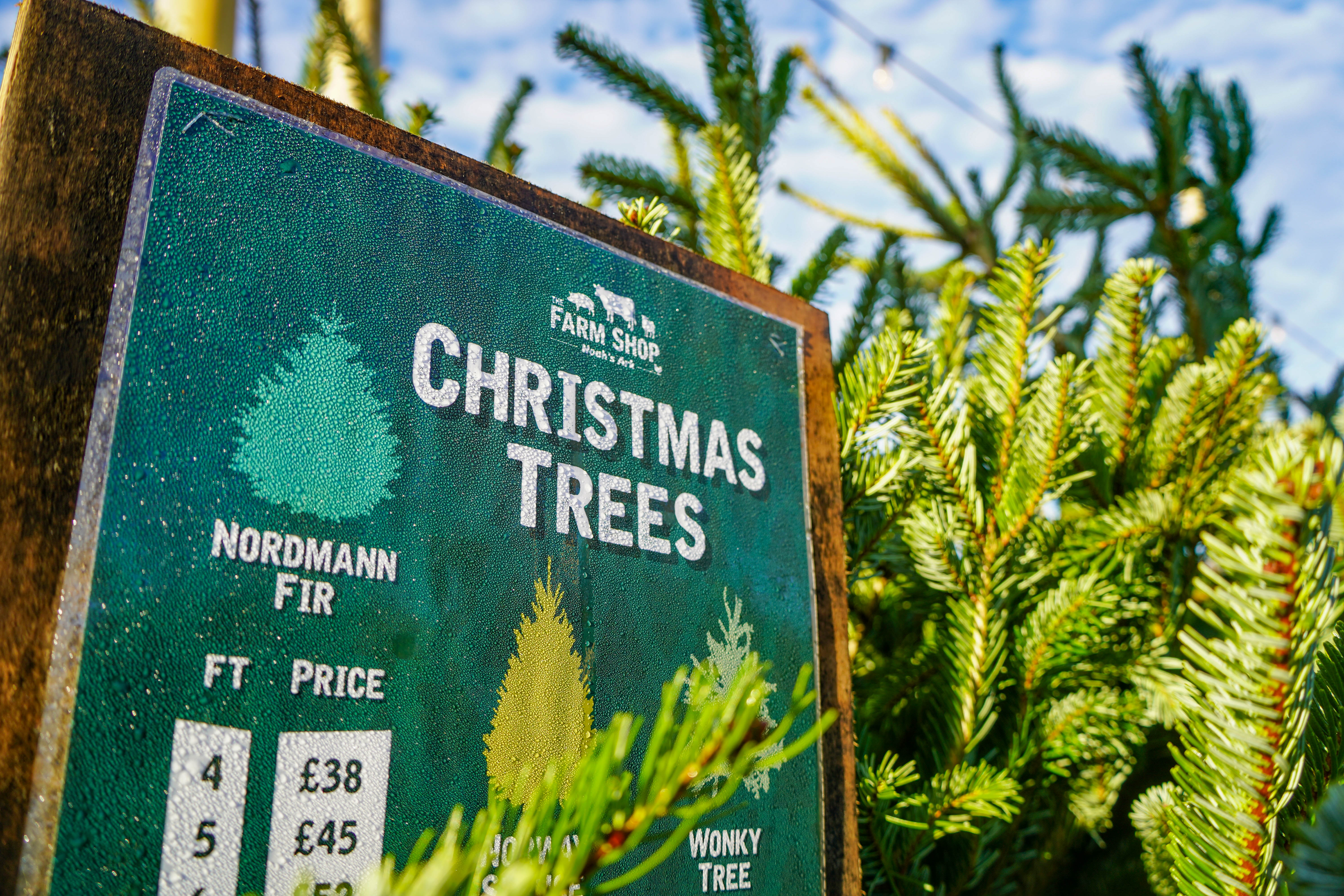Christmasfarms (8 Of 9)