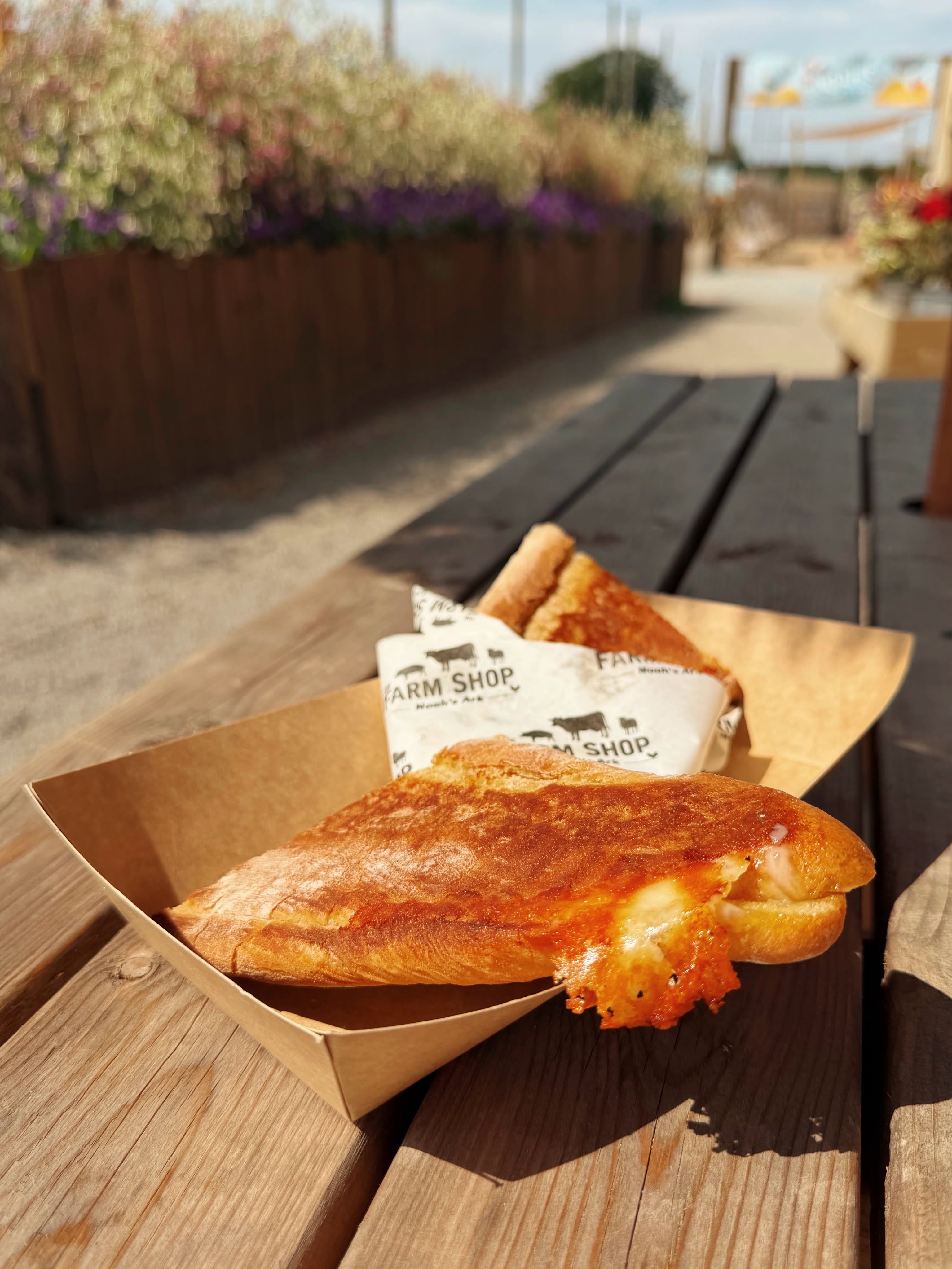Cheesy panini inside a carboard tray, on top of a wooden table outside the Farm Shop. 