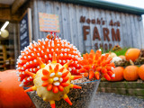 Pumpkin that has been decorated with candy corn to look like a spikey plant. 