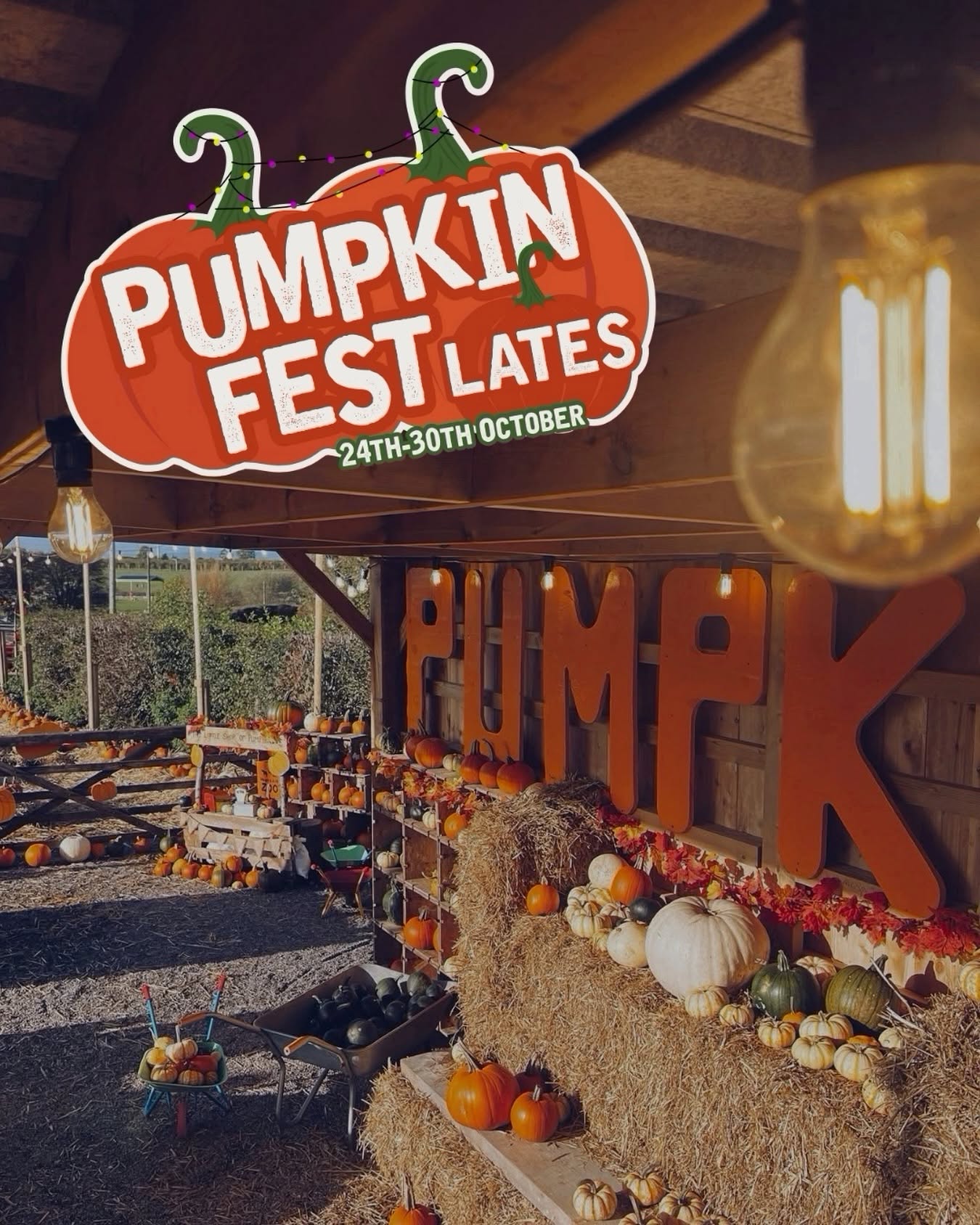 Pumpkin patch with black, white, green and orange pumpkins, big orange sign reading 'Pumpkin' and decorates including hay bales, wheelbarrows and wooden shelving. 