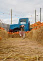 Dogpumpkinpatch2026 (9 Of 10)