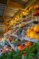 Wooden crates against wall with different pumpkin varieties, above individual pumpkins are on mental stands with variety name next to them. Visible text includes Queensland Blue, Pink Kambocha, Porcelaine Doll.
