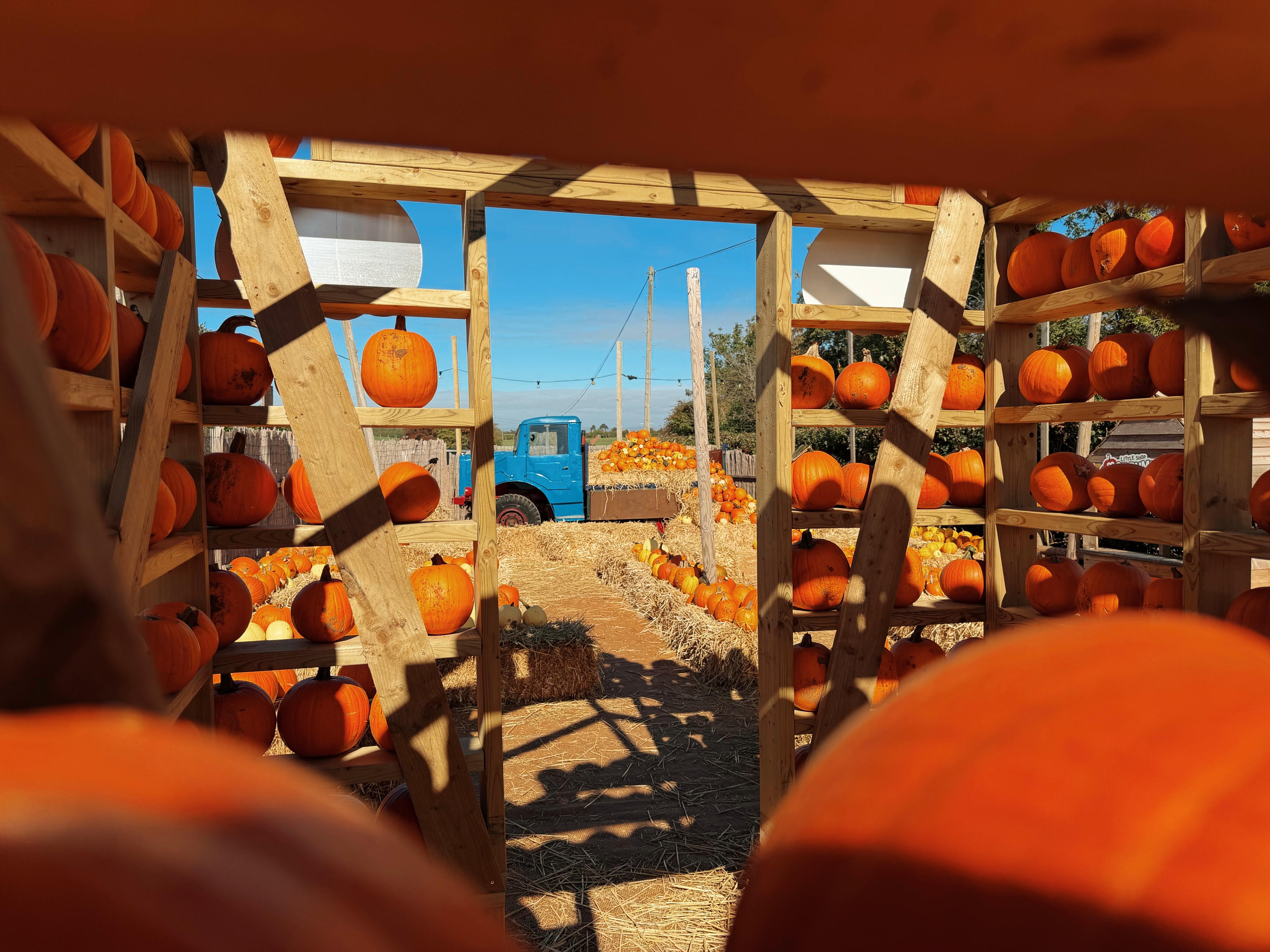 Pumpkins Farm Shop