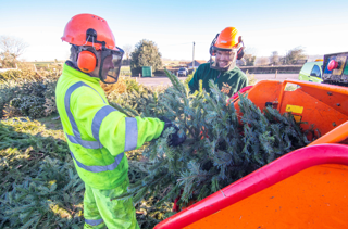 Screenshot 2026 01 13 114302