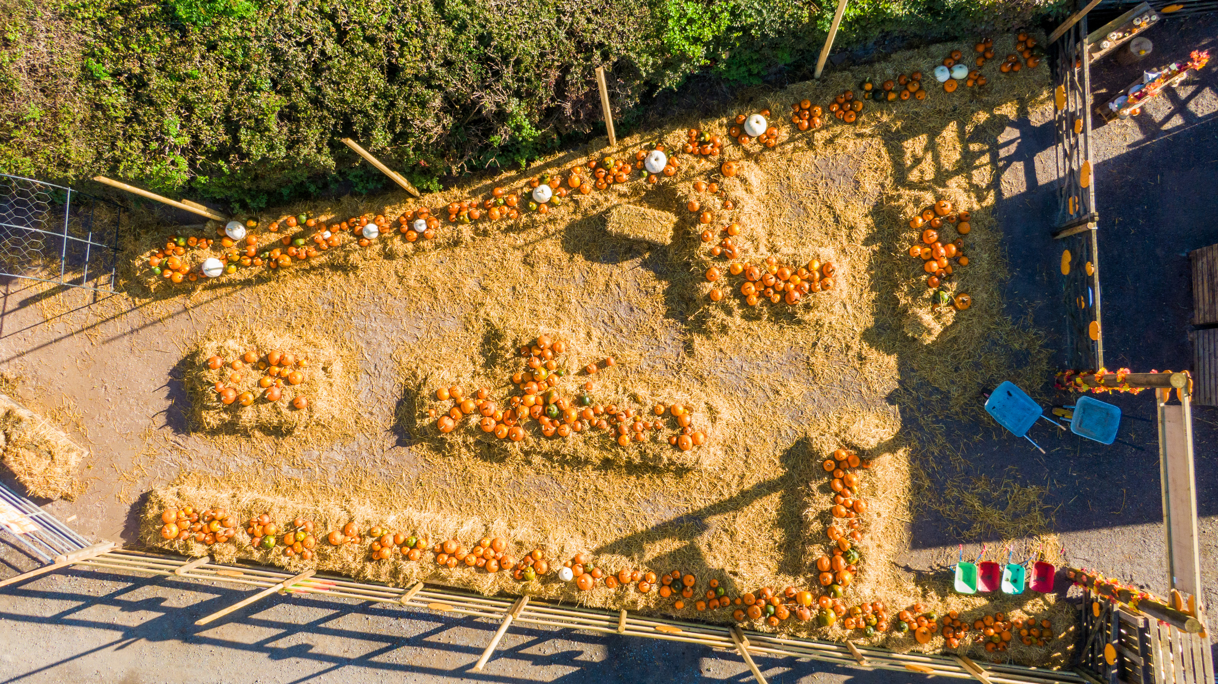 drone photo of pumpkin patch with hay bales and pumpkins. 
