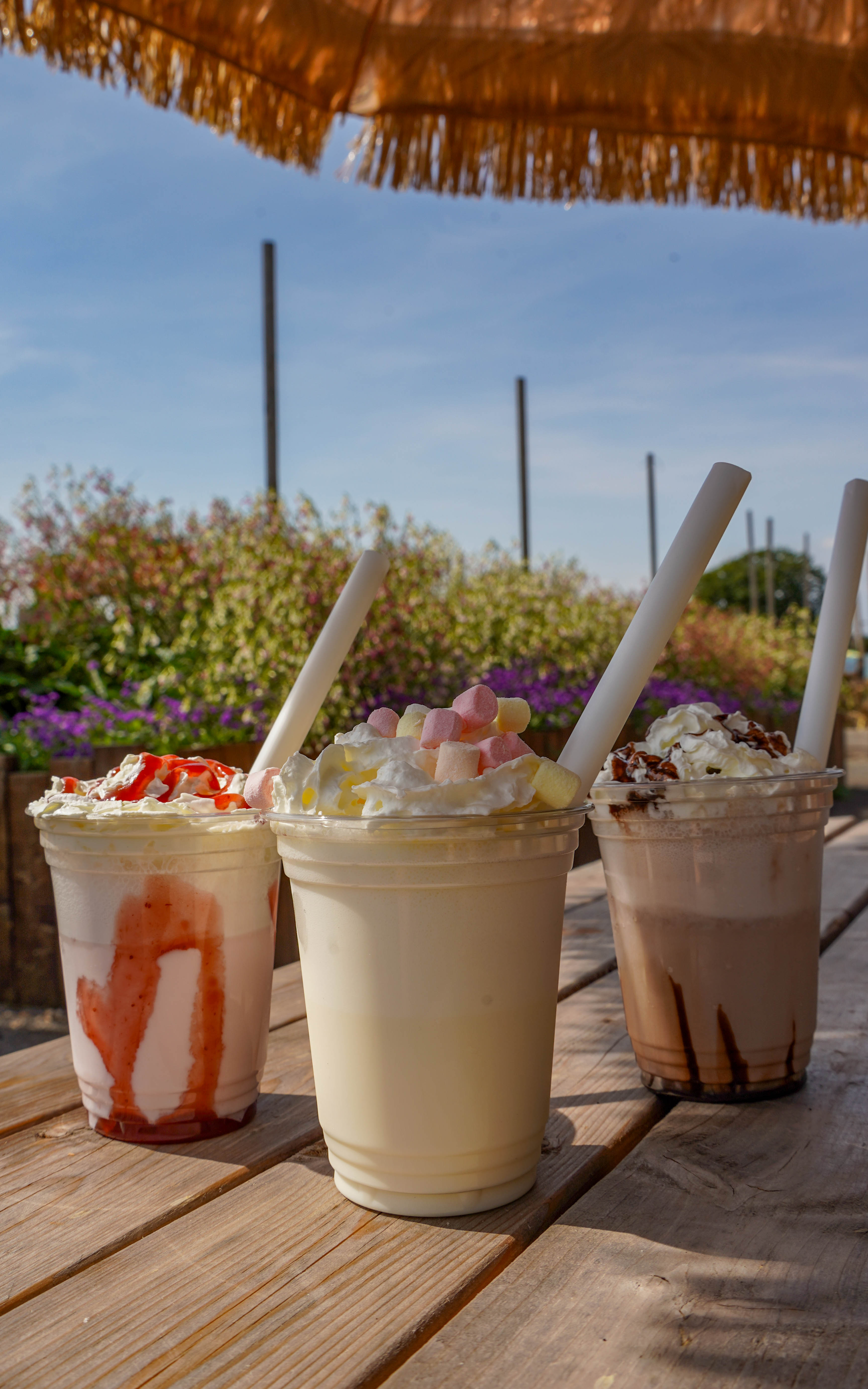 Chocolate, vanilla and strawberry milkshakes on wooden picnic bench outside of farm shop. 