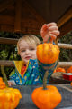 Pumpkinpatchelis2026 (19 Of 25)